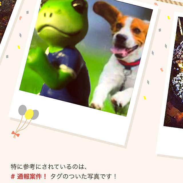 Newtypeさんの実例写真