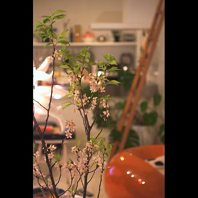 Design papa Ka-tuさんの実例写真