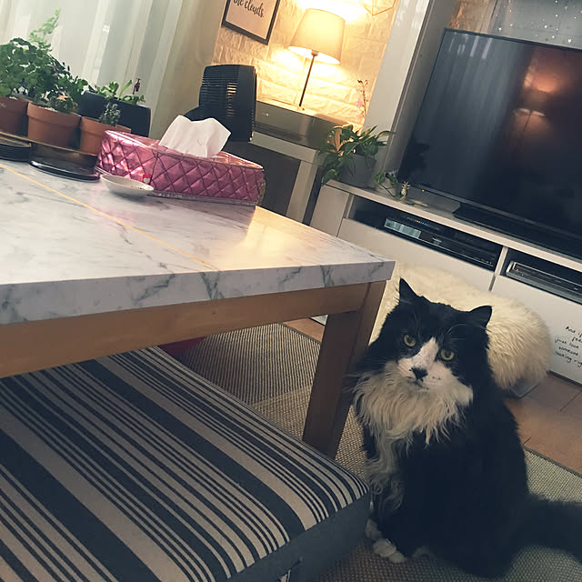 kanaさんの実例写真