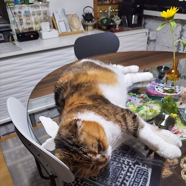 hiro3さんの部屋