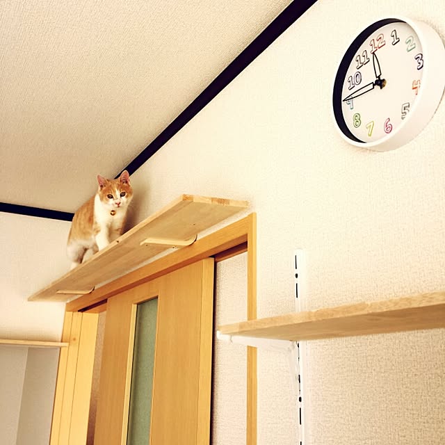 kumaさんの実例写真