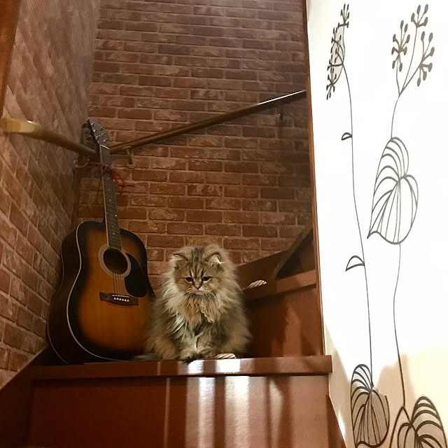 butachanさんの実例写真
