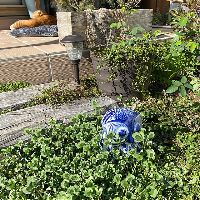 shizzzさんの実例写真