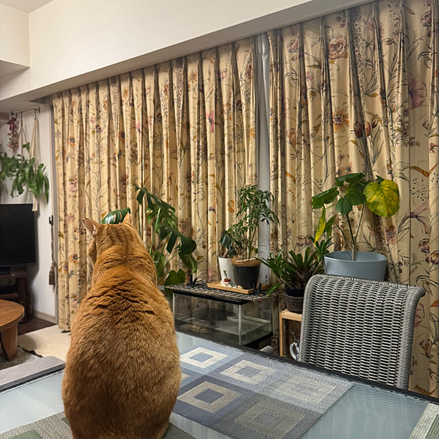 okyosan101さんの実例写真
