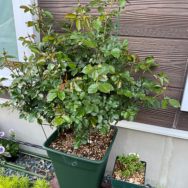 sattoさんの部屋