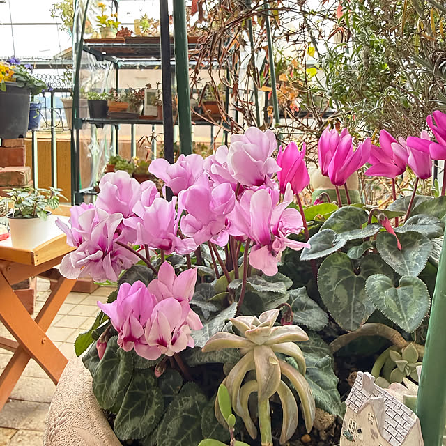 Aqettyさんの部屋