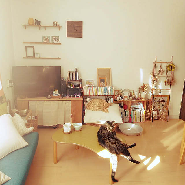 sleepywhaleさんの実例写真