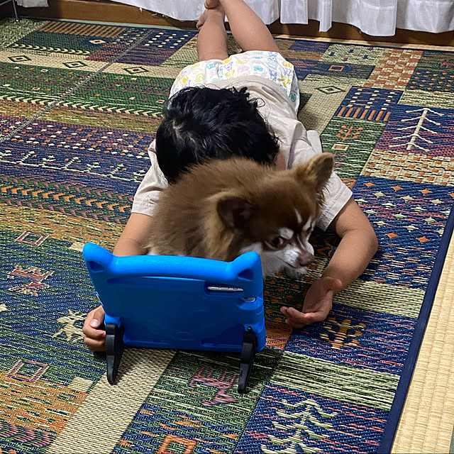 chIoeさんの実例写真