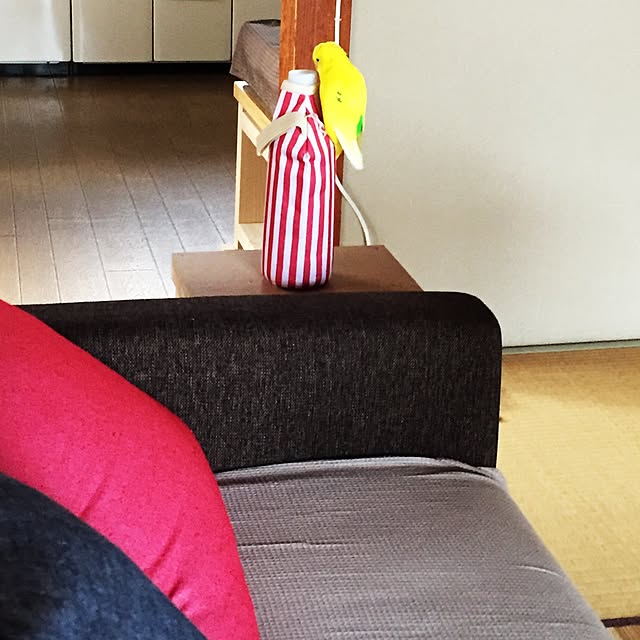 pipiさんの実例写真