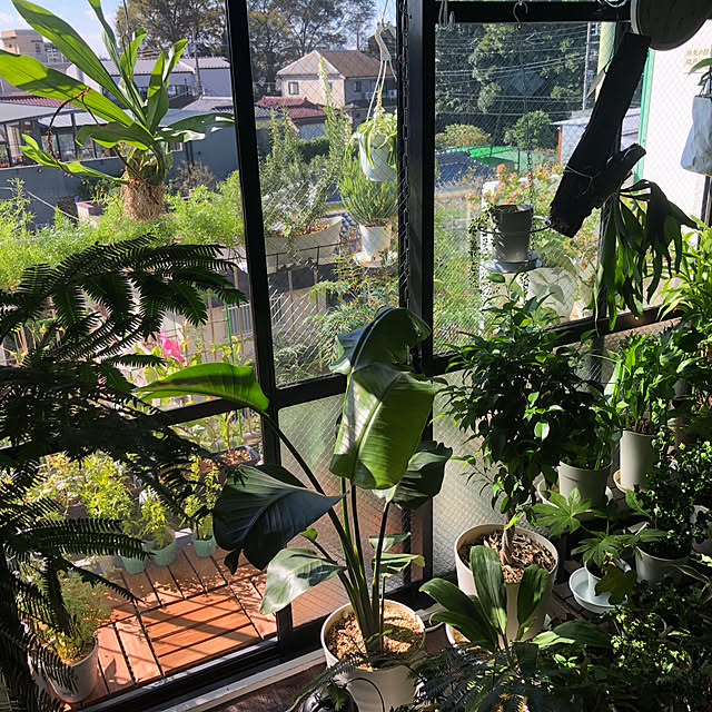 86さんの実例写真