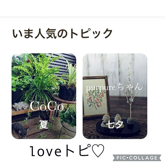 CoCo0617さんの実例写真