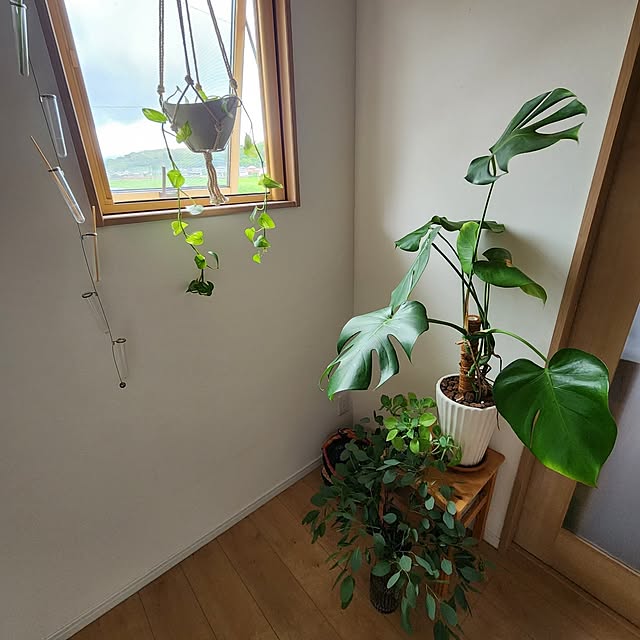saさんの部屋