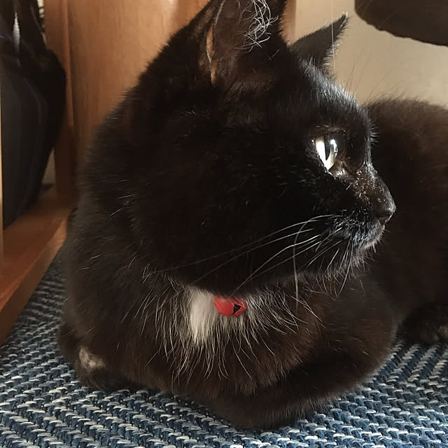 oasisさんの実例写真
