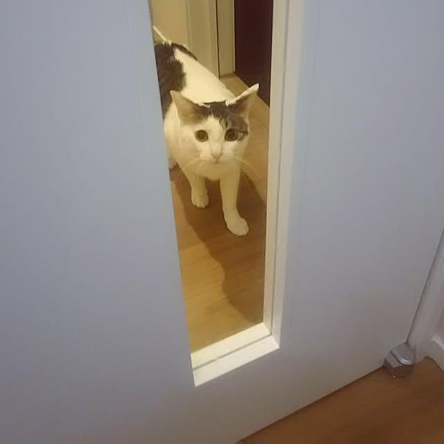 sunnyさんの実例写真