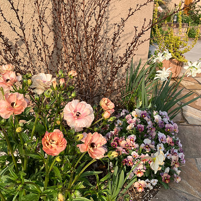 nbby16さんの部屋