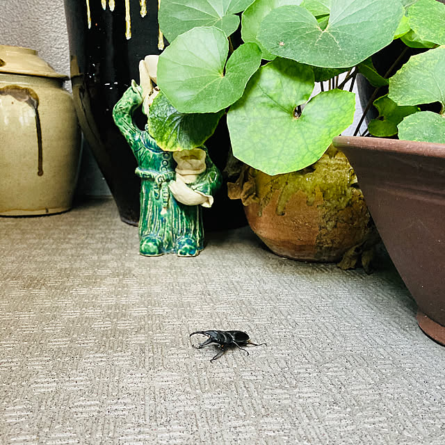 goeさんの実例写真
