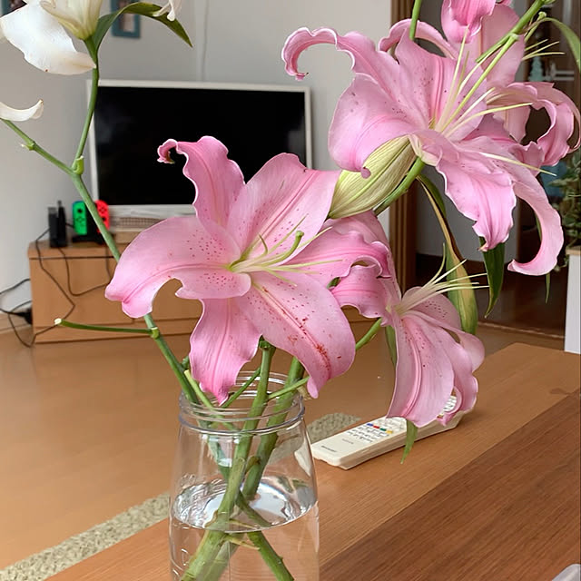 pipipiさんの実例写真