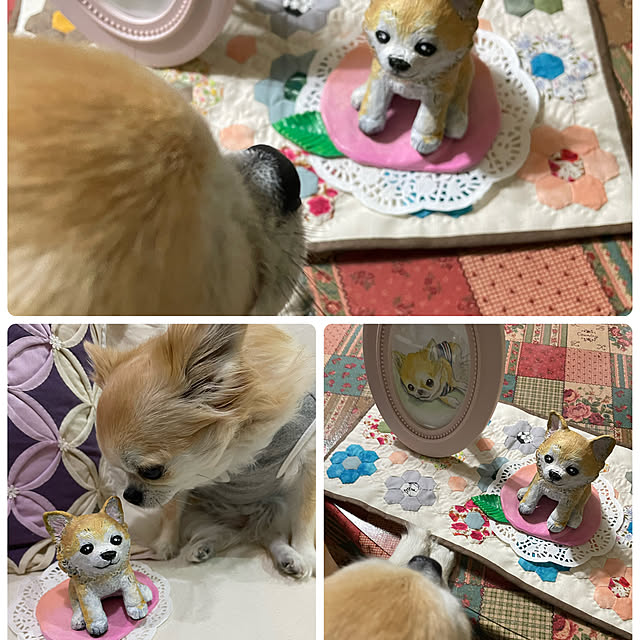 natsumiさんの部屋