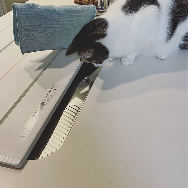 hemukoさんの実例写真