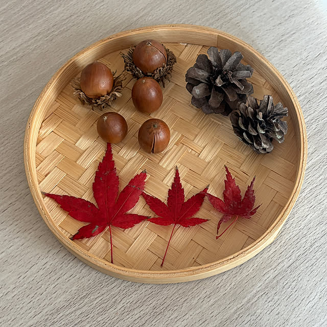 chIoeさんの部屋