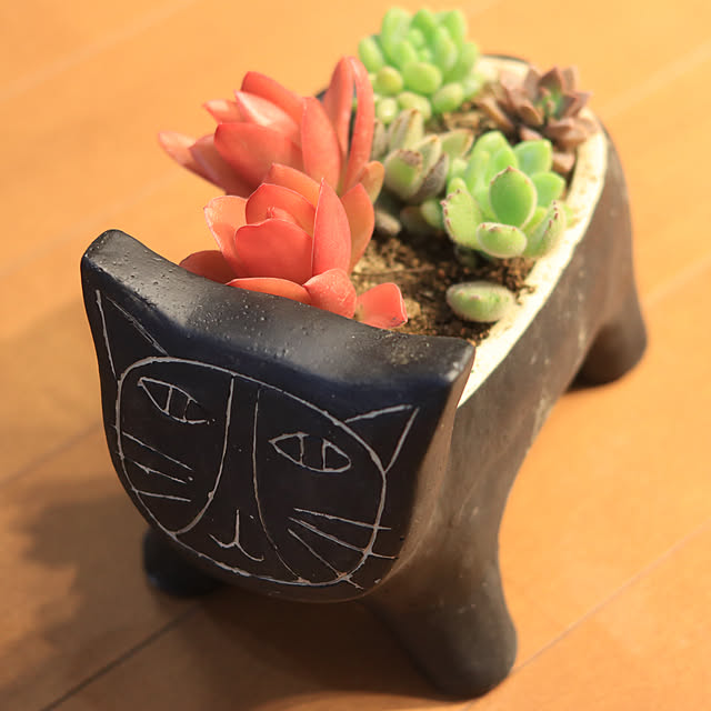 Chikakoさんの実例写真