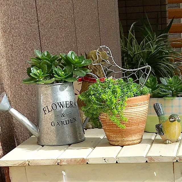puriyuzuさんの実例写真