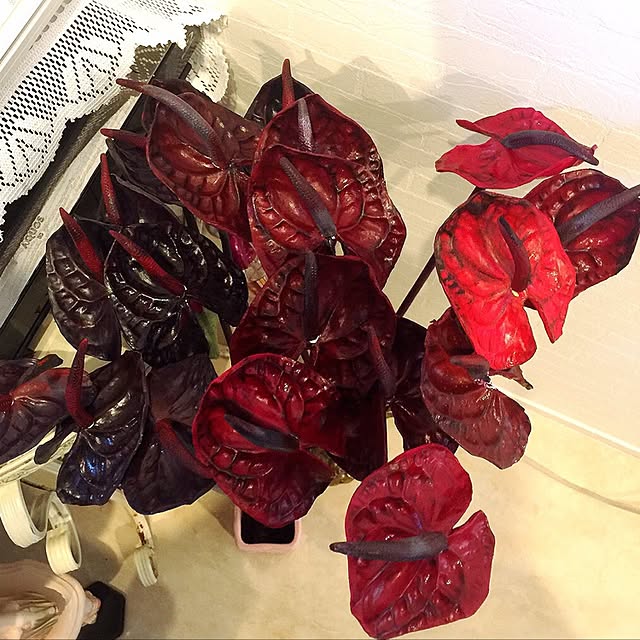 angelrose.yuuさんの実例写真