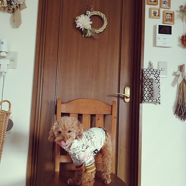 santamamaさんの実例写真