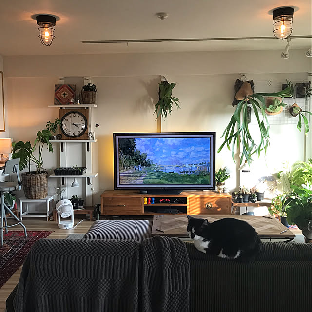 アンティーク/DIY/多肉植物/観葉植物/ナチュラル...などのインテリア実例 - 2023-03-09 16:25:51