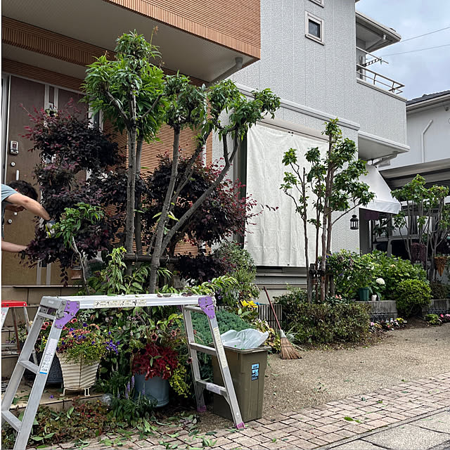 実例写真
