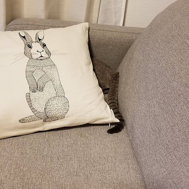 yukiさんの実例写真