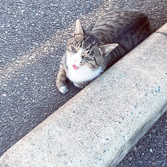 ma-shaさんの実例写真
