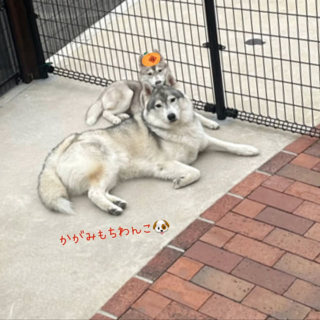 khさんの実例写真