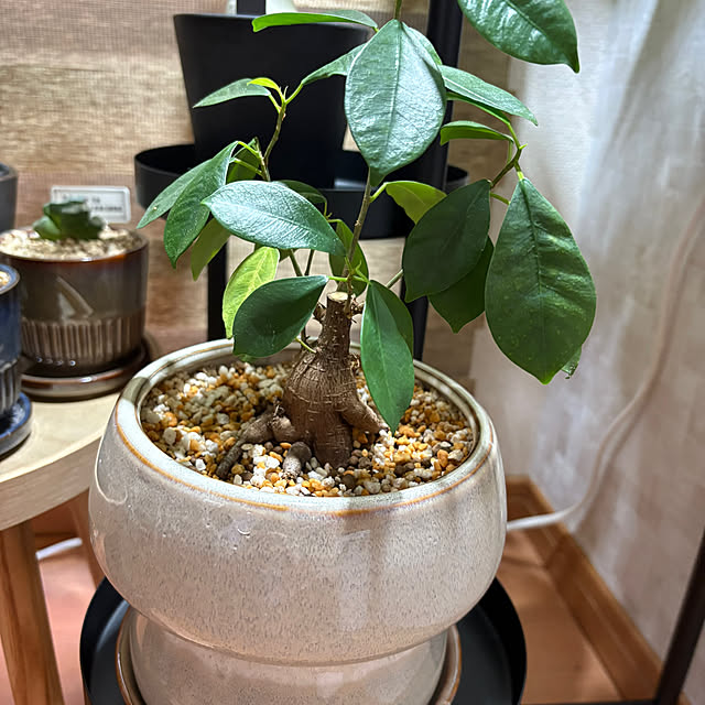 CoffeeHouseさんの部屋