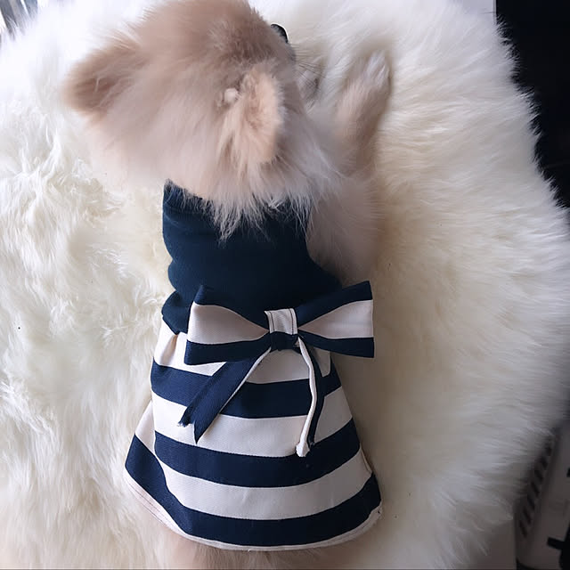 dogslifeさんの実例写真
