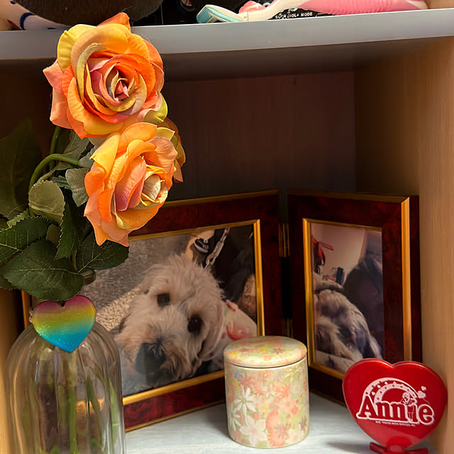 Annieさんの実例写真