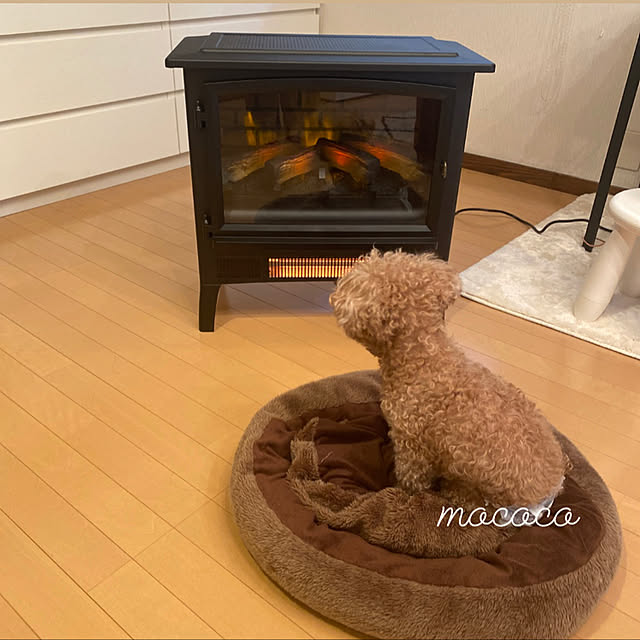 mococoさんの実例写真