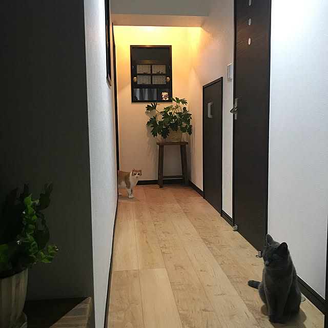 73さんの実例写真