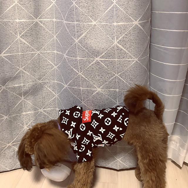 syさんの実例写真