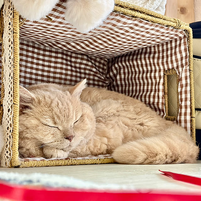 naokoさんの部屋