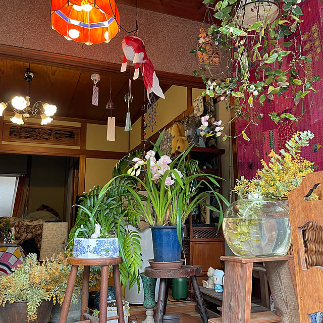 shin0719さんの部屋