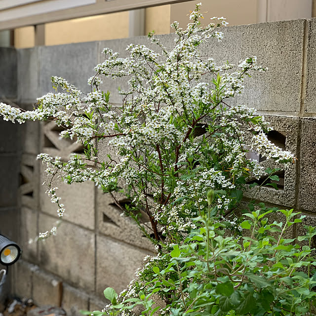 masakoさんの部屋