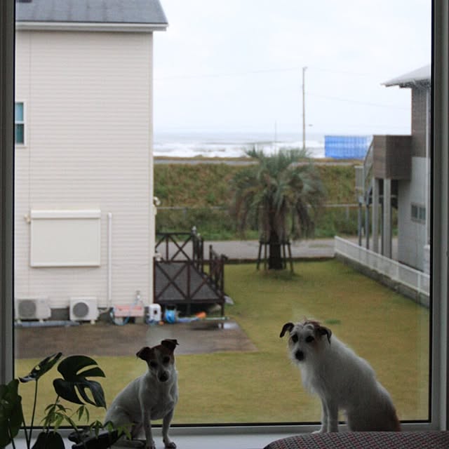 michiさんの実例写真