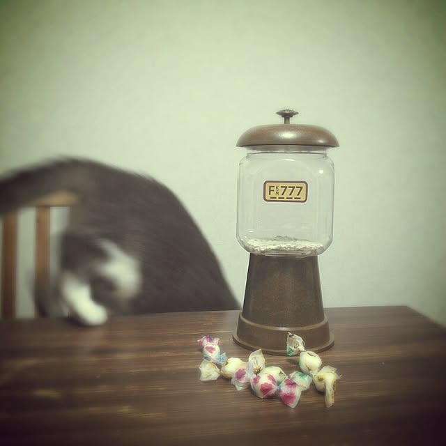 lovepandaさんの実例写真