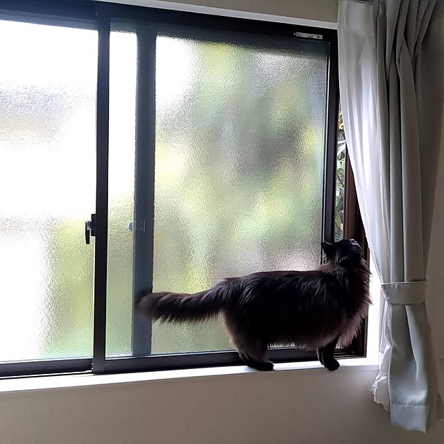 kumiさんの部屋