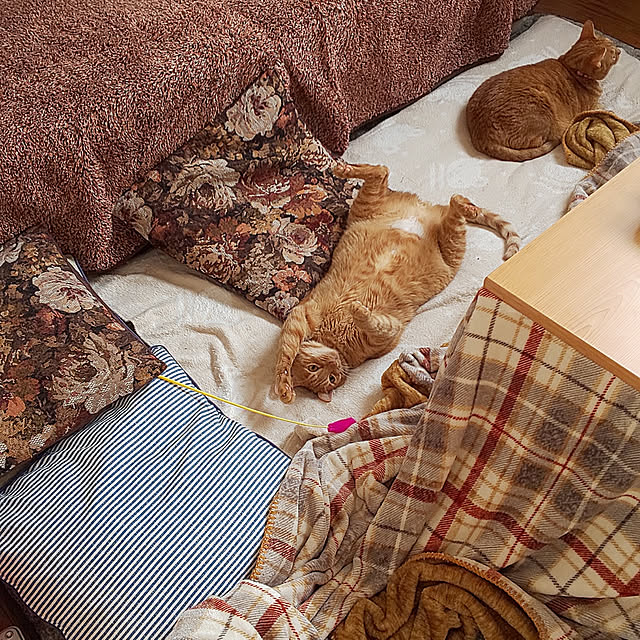 37さんの実例写真