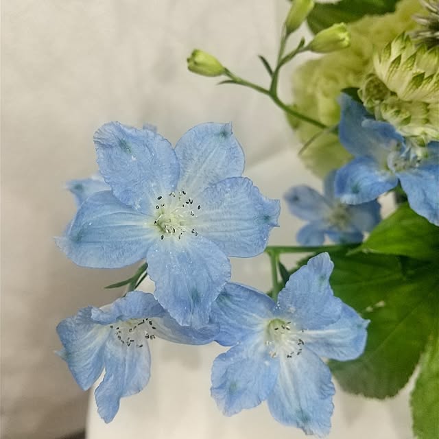 Rさんの実例写真