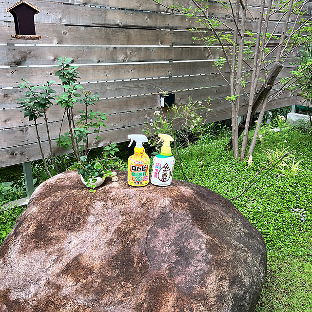 fxs-rrさんの実例写真