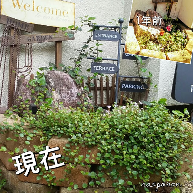 naoporonさんの実例写真