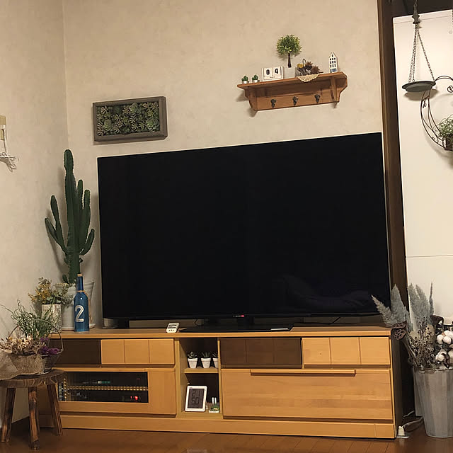 100均/雑貨/観葉植物/フェイクグリーン/リビングのインテリア実例 - 2023-04-04 22:12:52